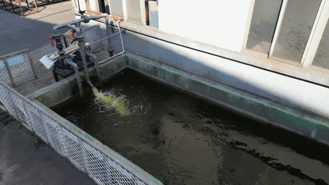 喜訊！中亞鋁業(yè)榮獲企業(yè)綠色品牌！(圖7)